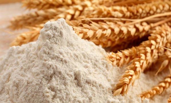 طریقه مصرف پودر جوانه گندم برای چاق شدن